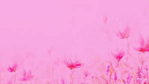 Light Pink Flower Field Wallpaper