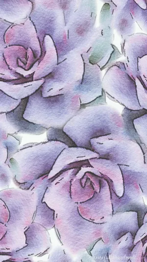 Light Purple Succulent Iphone Watercolor Wallpaper