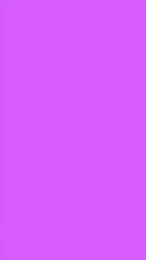Lilac Color Phone Wallpaper