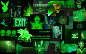 Lime Green Aesthetic Various Signs Wallpaper