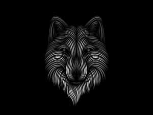 Line Art Wolf's Face Wallpaper