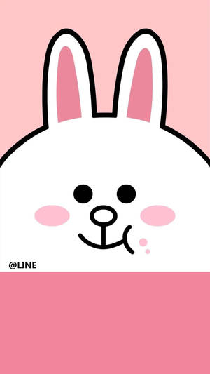 Line Friends Cony In Pink Wallpaper