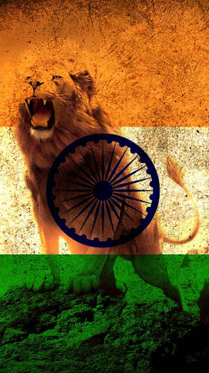 Lion And Indian Flag Mobile Wallpaper