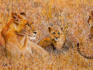 Lion Cub Pastel Art Wallpaper