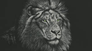 Lion Head In Grayscale Wallpaper