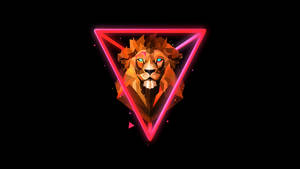 Lion Head In Pink Triangle Wallpaper
