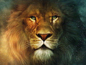 Lion Head With Night Stars Wallpaper