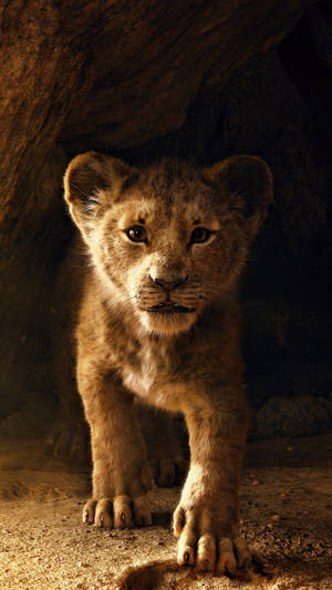 Lion King Baby Simba Wallpaper
