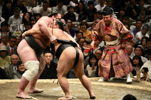 Live Sumo Wrestling Wallpaper