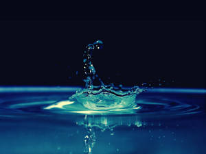 Live Water Drops Wallpaper