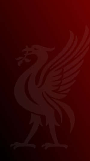 Liverpool Fans Praising The Power Of Their Iphones! Wallpaper