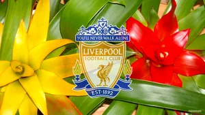 Liverpool Fc Est. 1892 Wallpaper