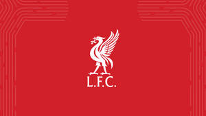 Liverpool Fc L.f.c. Wallpaper
