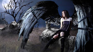 Lolita With Black Angel Wings Wallpaper