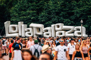Lollapalooza Inflatable Wallpaper