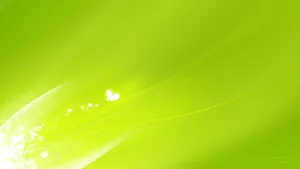 Lone Butterfly Light Green Wallpaper