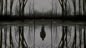 Lone Traveller Gazing At Serene Sunset Wallpaper