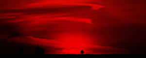 Lone Tree Red Ultra Wide Hd Wallpaper