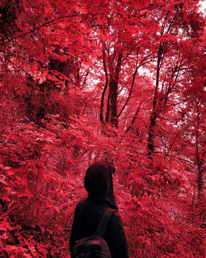 Lonely, Loneliness, Hood, Red Wallpaper