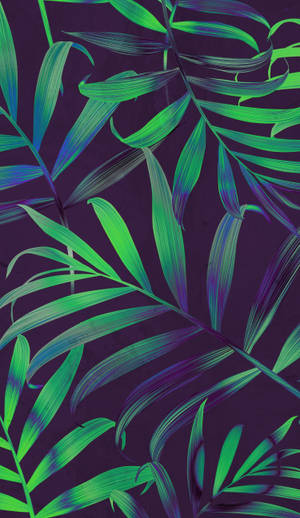 Long Leaves Iphone Wallpaper