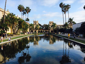 Long Pond Inside Balboa Park Wallpaper