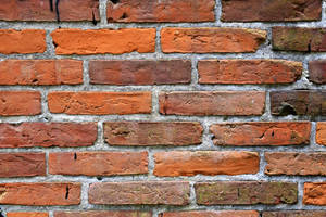 Long Red Brick Wall