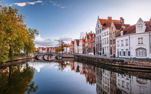 Long Reflective Brussels Town Wallpaper