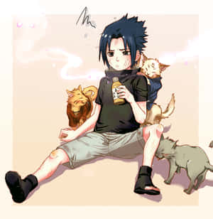 Look At Cute Sasuke, Such A Cutie! Wallpaper