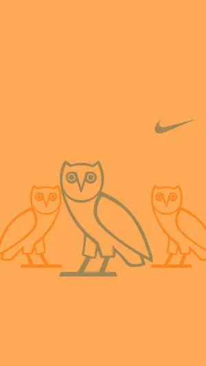Look At The Bright Logo Of Ovo Owl Sewn Onto A Drake Iphone Wallpaper