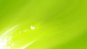 Look At The Bright Side With Green Led Wallpaper