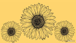 Look At This Beautiful Sunflower In Yellow And Pink Colors For A Wonderful Tumblr Aesthetic. Wallpaper