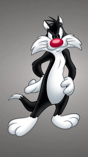 Looney Tunes Sylvester The Cat Cartoon