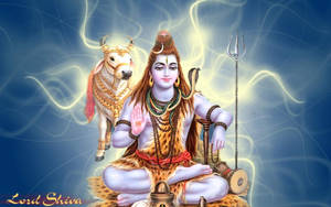 Lord Shiva 4k Glowing Wallpaper