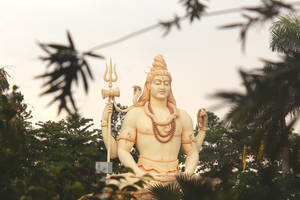 Lord Shiva 8k In Forest Wallpaper