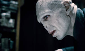 Lord Voldemort Pale Veiny Face Wallpaper