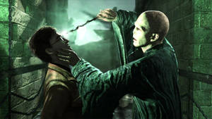 Lord Voldemort Vs. Harry Potter Wallpaper