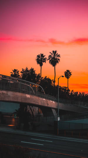 Los Angeles 4k Sunset Wallpaper