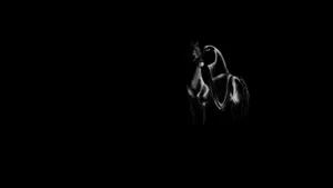 Lotr Dark Rider Wallpaper