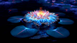 Lotus And Lights In The Dark Wallpaper