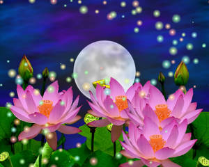 Lotus Flowers And The Moon Wallpaper