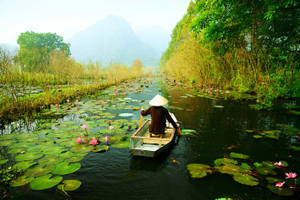 Lotus Lake In Hanoi Wallpaper