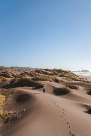 Love Alone Walking In Desert Wallpaper