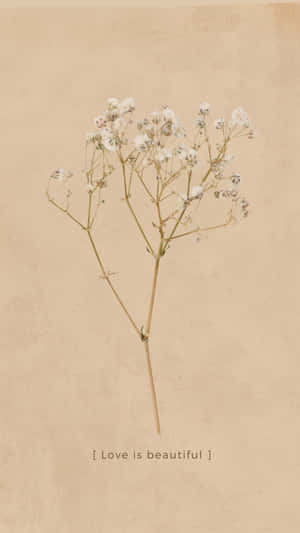 Love Is Beautiful Dried Flowers Artwork Wallpaper