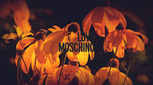 Love Moschino Orange Flowers Wallpaper