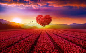 Love Nature In Red Field Wallpaper