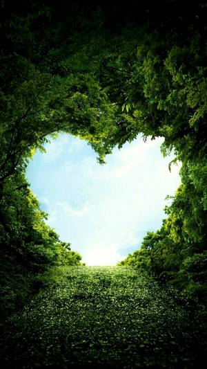 Love Nature With Heart Shape Wallpaper