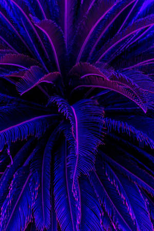 Lovely Purple Aesthetic Iphone Lockscreen Wallpaper