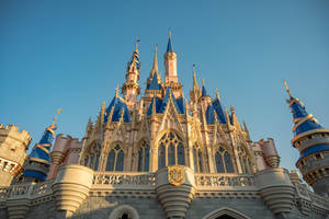 Low-angle Castle Walt Disney World Desktop Wallpaper