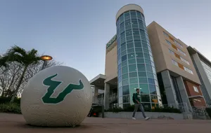 Low-angle Shot University Of South Florida Wallpaper