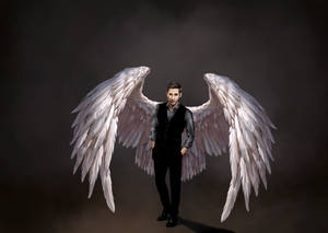Lucifer White Angel Wings Art Wallpaper